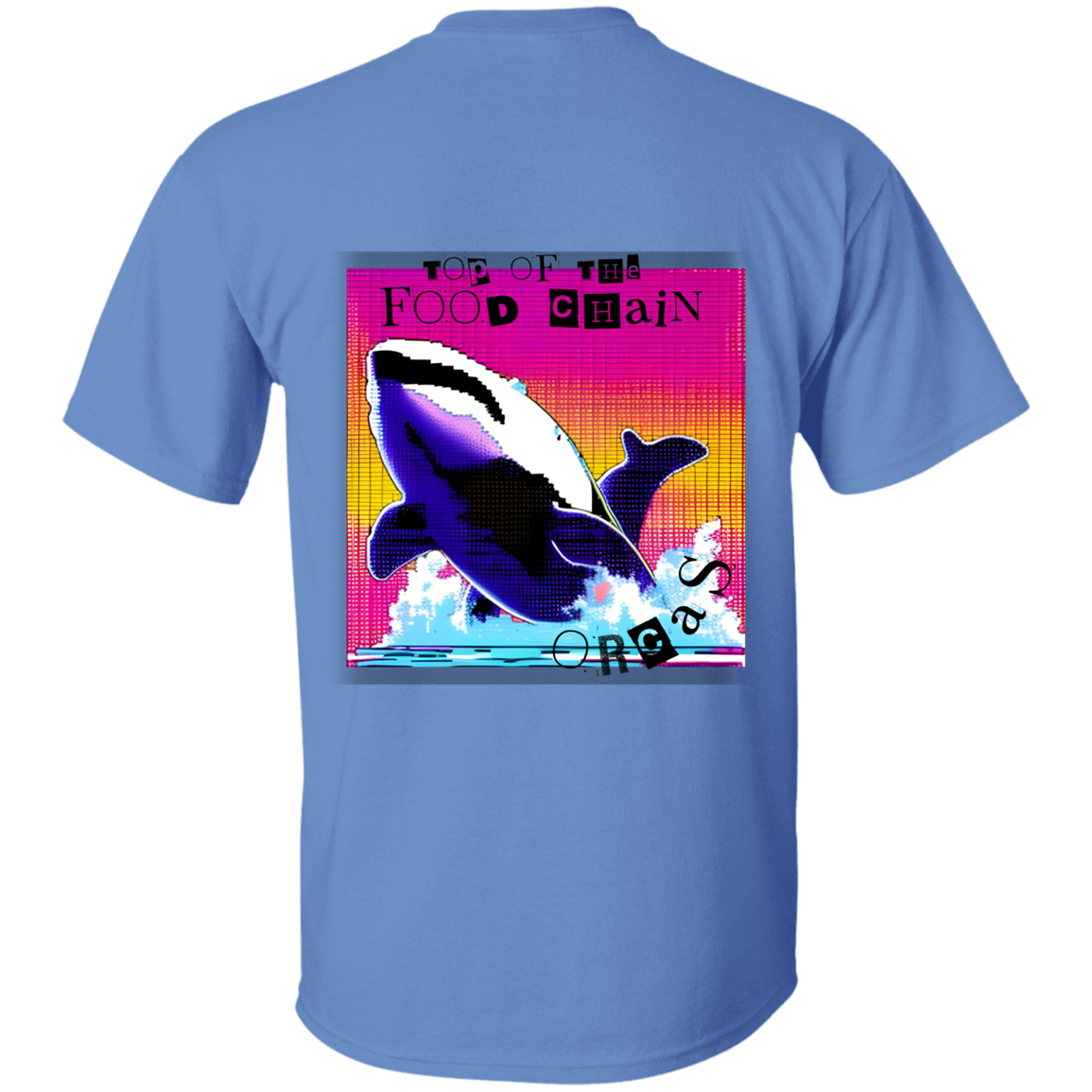 Orcas: Top of the food chain