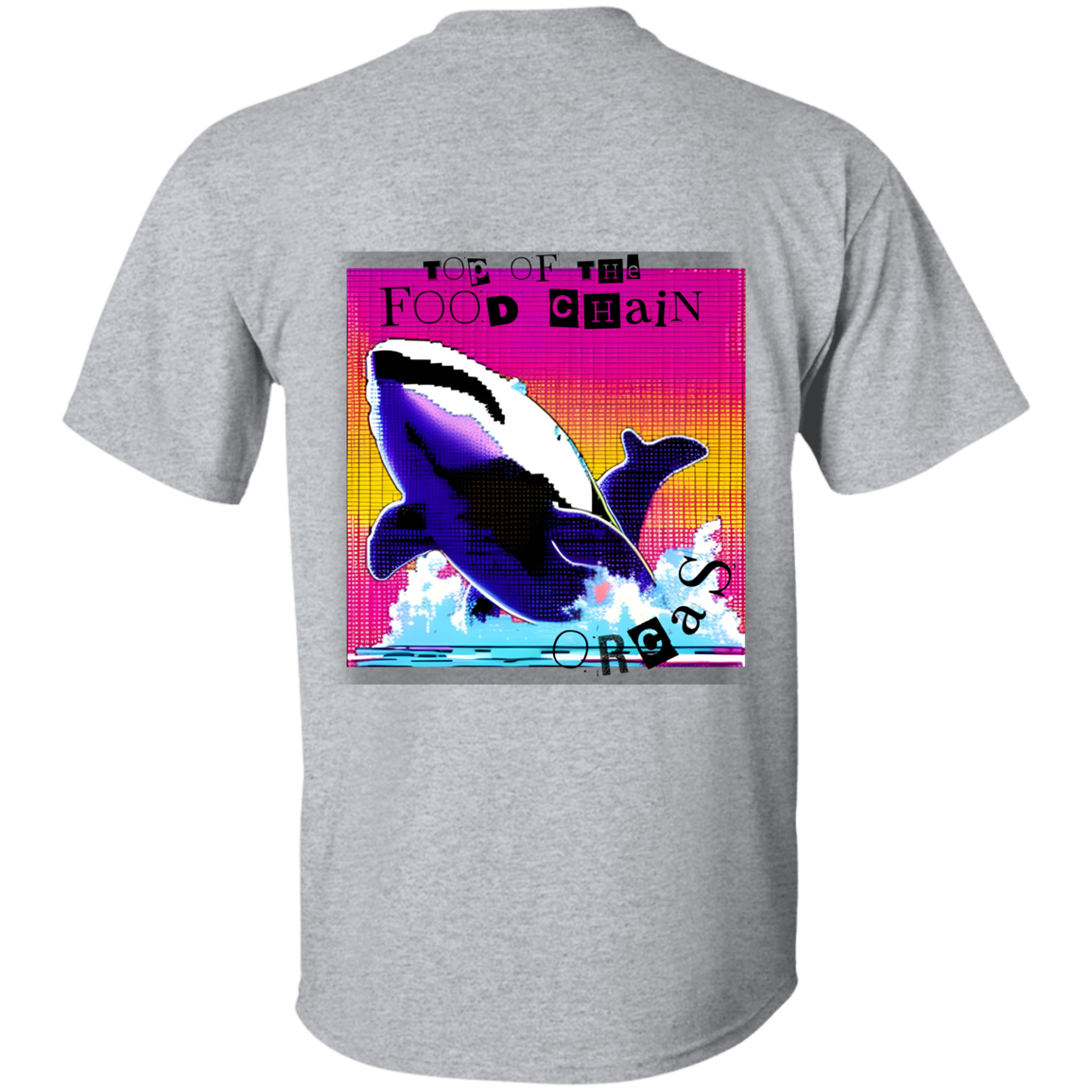Orcas: Top of the food chain