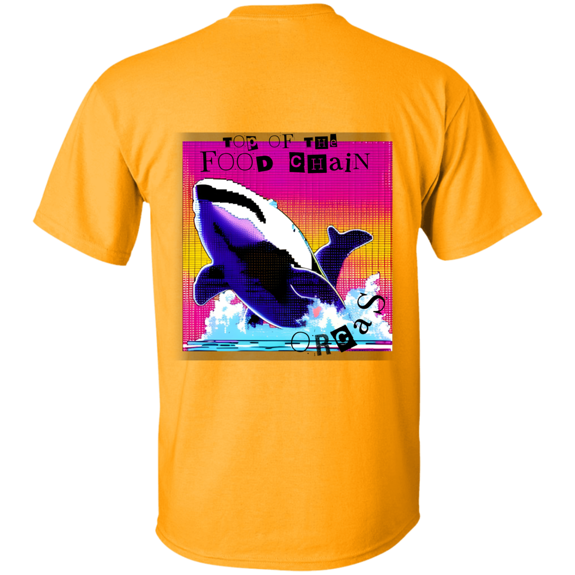 Orcas: Top of the food chain