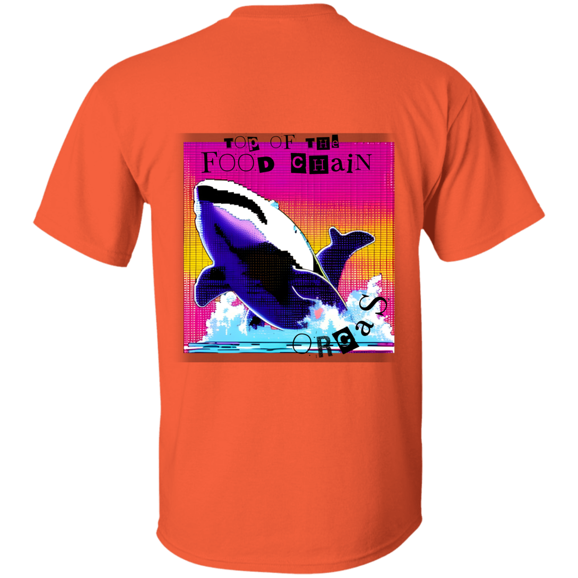 Orcas: Top of the food chain