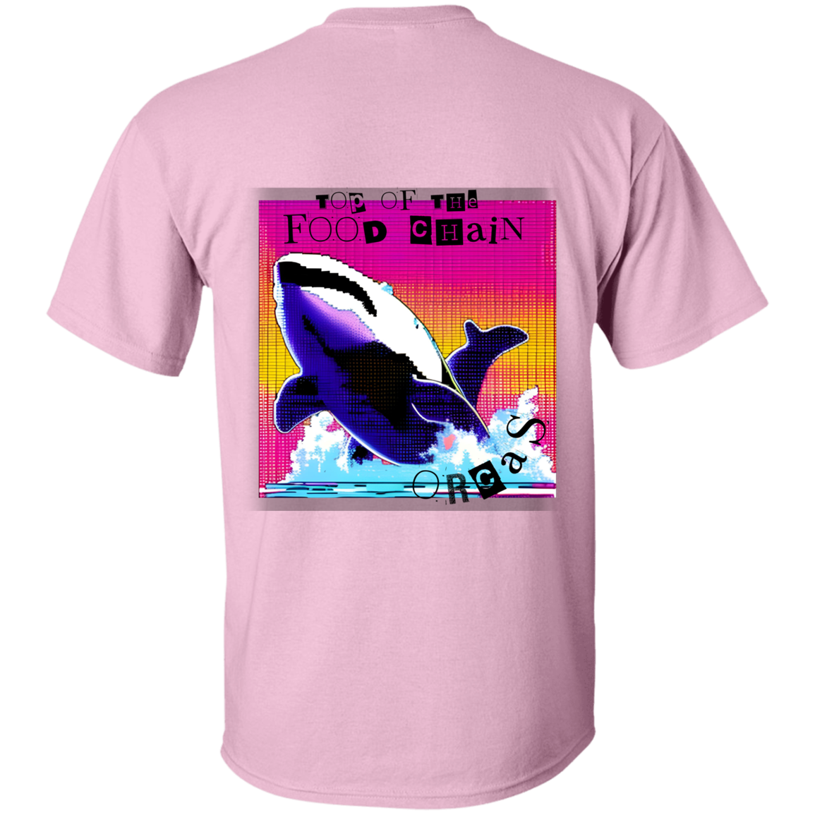 Orcas: Top of the food chain