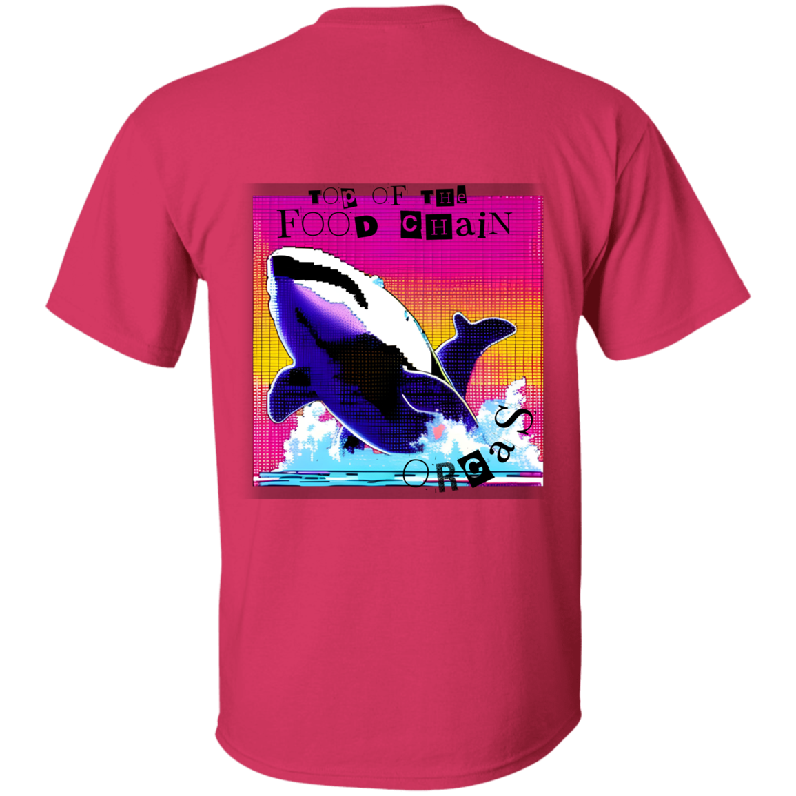 Orcas: Top of the food chain