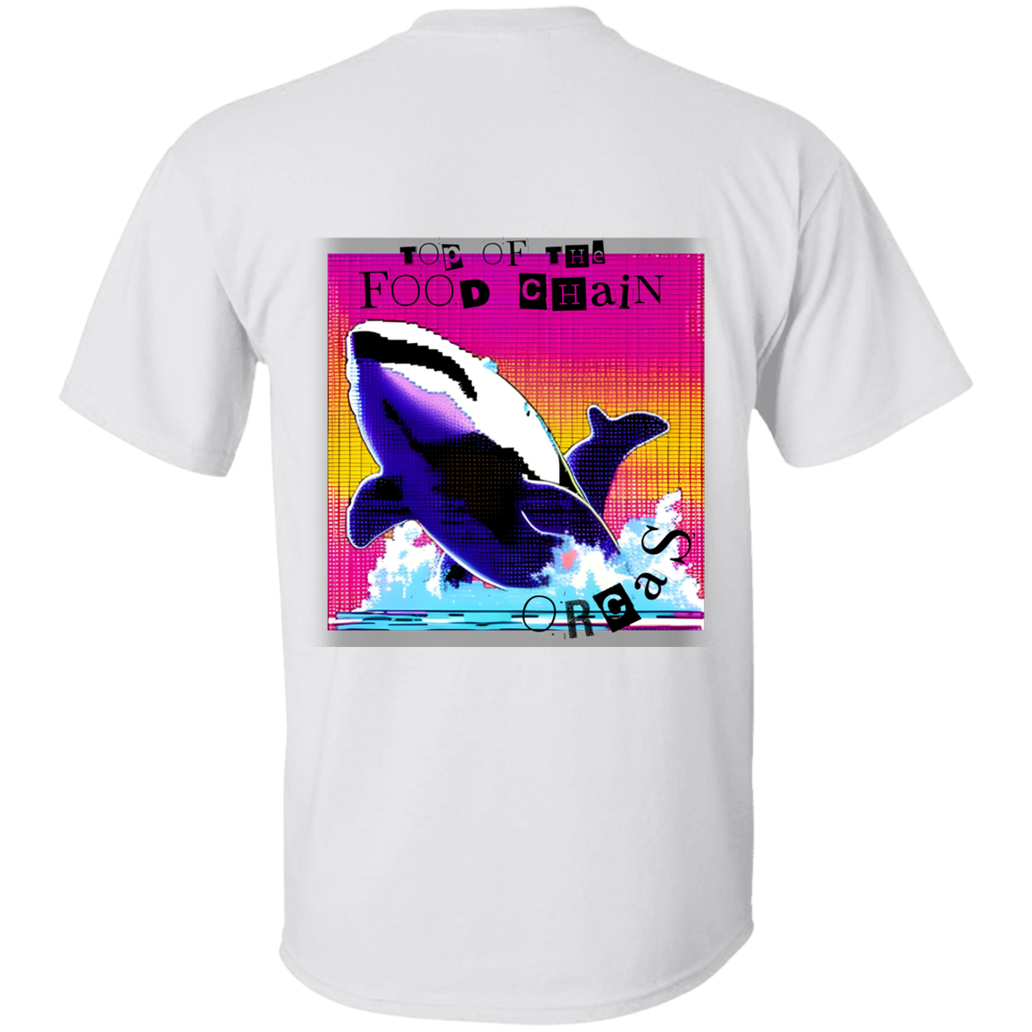 Orcas: Top of the food chain